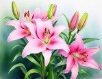 百合花深水养还是浅水