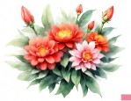 常见的花的花语和寓意