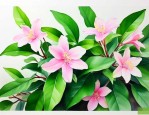 绿萝花电视剧剧情介绍