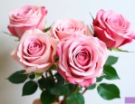 玫瑰花波波球制作方法