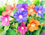 牵牛花颜色变化的原理