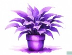 紫色的植物盆栽