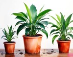 家里潮湿养什么植物好