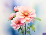 哪种花的花语是爱自己