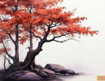 小叶紫檀是怎么形成的