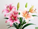 手工百合花朵制作方法