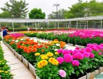 2025年花卉种植基地北京