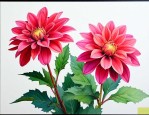 12月30日的生辰花