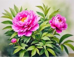 2025年芍药花能治什么病