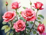 玫瑰花杆粗好还是细好