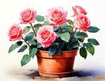 盆栽月季花的养殖方法