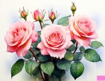 买来的月季花怎么处理