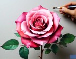 做玫瑰花需要什么材料