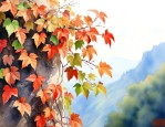 爬山虎爬的过程是什么