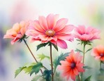 花儿绽放的惊艳的句子