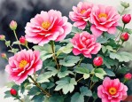 2025年中国花期最长的花