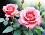 月季花修剪时间和方法