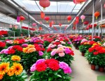 2025年郑州假花批发市场