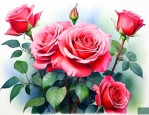 月季花什么候扦插方法