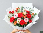 朋友高考送什么花合适