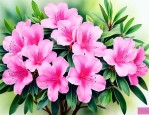怎么描写杜鹃花的样子