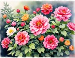 2025年花期长耐寒的花卉
