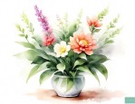 室内好养活带香味的花