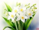 铃兰花语和寓意和象征