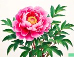 牡丹花啥时候移栽最好