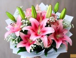 玫瑰百合满天星的花语