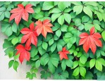爬山虎夏天可以种植吗