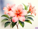 世界上最香的花是什么