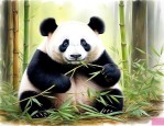 熊猫吃的竹子是哪里的