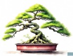 雀梅盆景可以室内养吗