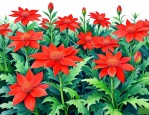 万年青的花是什么样的