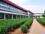 沈阳苗木批发市场在哪