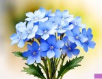 勿忘我花是什么样子的