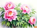 牡丹是哪个季节开的花