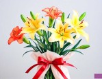 母亲节送萱草花还是康乃馨