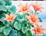 一帆风顺花叶子有干尖