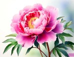 牡丹花什么时候开花的