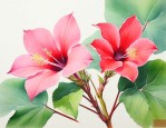 一帆风顺花怎么不开花