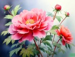 花叶不见面的是什么花