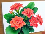 长寿花怎么养护开花多