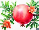 石榴花怎样才能结石榴