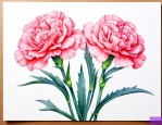 和康乃馨叶子相似的花