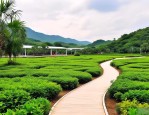 2025年海南文昌苗圃基地
