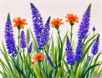 2025年夏季草花卉有哪些