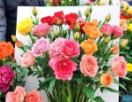 斗南花市买花邮寄攻略