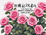 2025年玫瑰情感语录大全